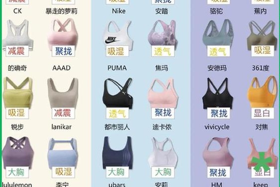 功能内衣品牌排行榜(身材管理器10大品牌)