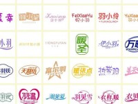 25类服装商标_商标名字大全10000个