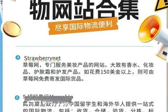 全球十大购物网站,外国购物平台网站大全