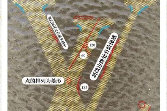 lv的包包怎么辨别真假(lv正品查询扫一扫)